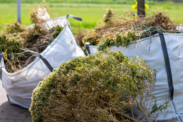 Reliable Arlington, MN Junk Removal Services Solutions